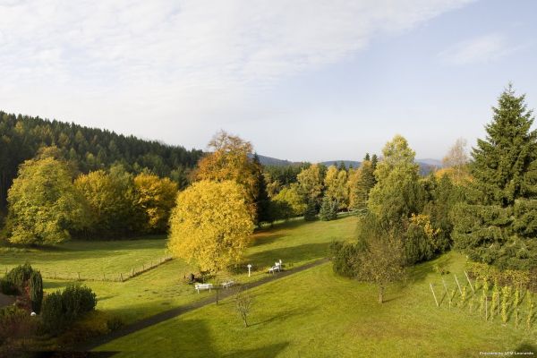 Jagdhaus Wiese Landhotel (Schmallenberg)